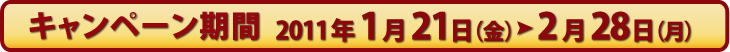 キャンペーン期間