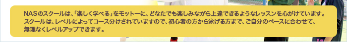 NASのスクールは、「楽しく学べる」をモットーに、どなたでも楽しみながら上達できるようなレッスンを心がけています。 スクールは、レベルによってコース分けされていますので、初心者の方から泳げる方まで、ご自分のペースに合わせて、無理なくレベルアップできます。