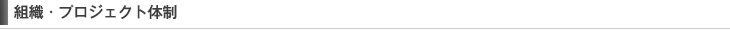 組織・プロジェクト体制