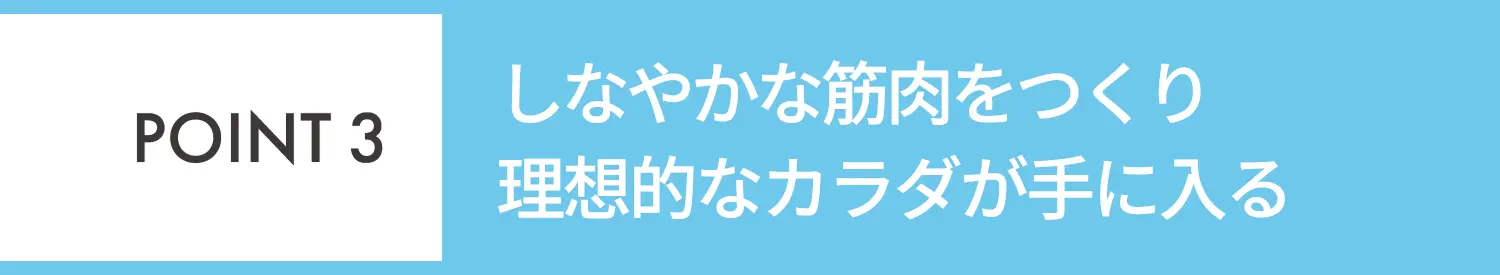 POINT3 しなやかな筋肉をつくり理想的なカラダが手に入る