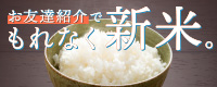 お友達紹介7月