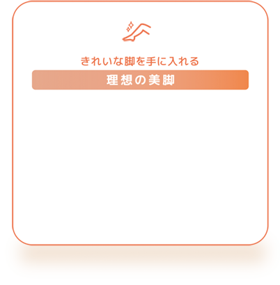 理想の美脚
