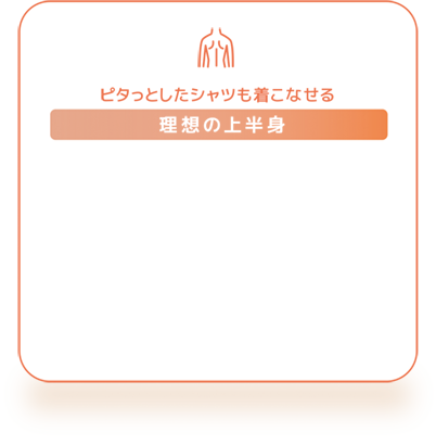 理想の上半身