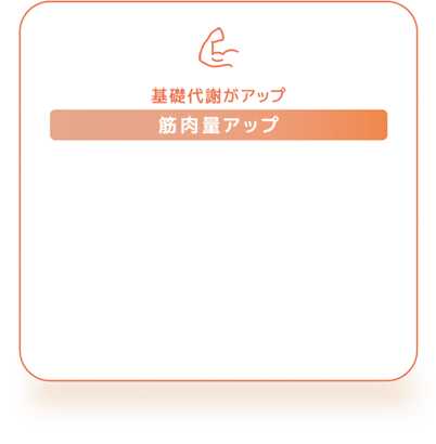 筋肉量アップ