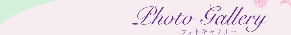 Photo Gallery フォトギャラリー