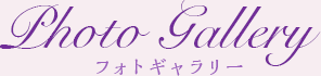Photo Gallery フォトギャラリー