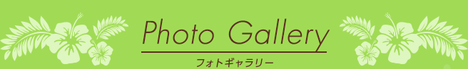 Photo Gallery フォトギャラリー