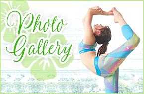 Photo Gallery