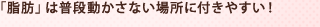 「脂肪」は普段動かさない場所に付きやすい!