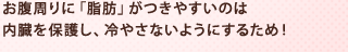 お腹周りに「脂肪」がつきやすいのは内臓を保護し、冷やさないようにするため！