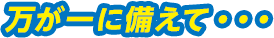 万が一に備えて・・・