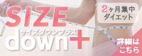 サイズダウンプラス