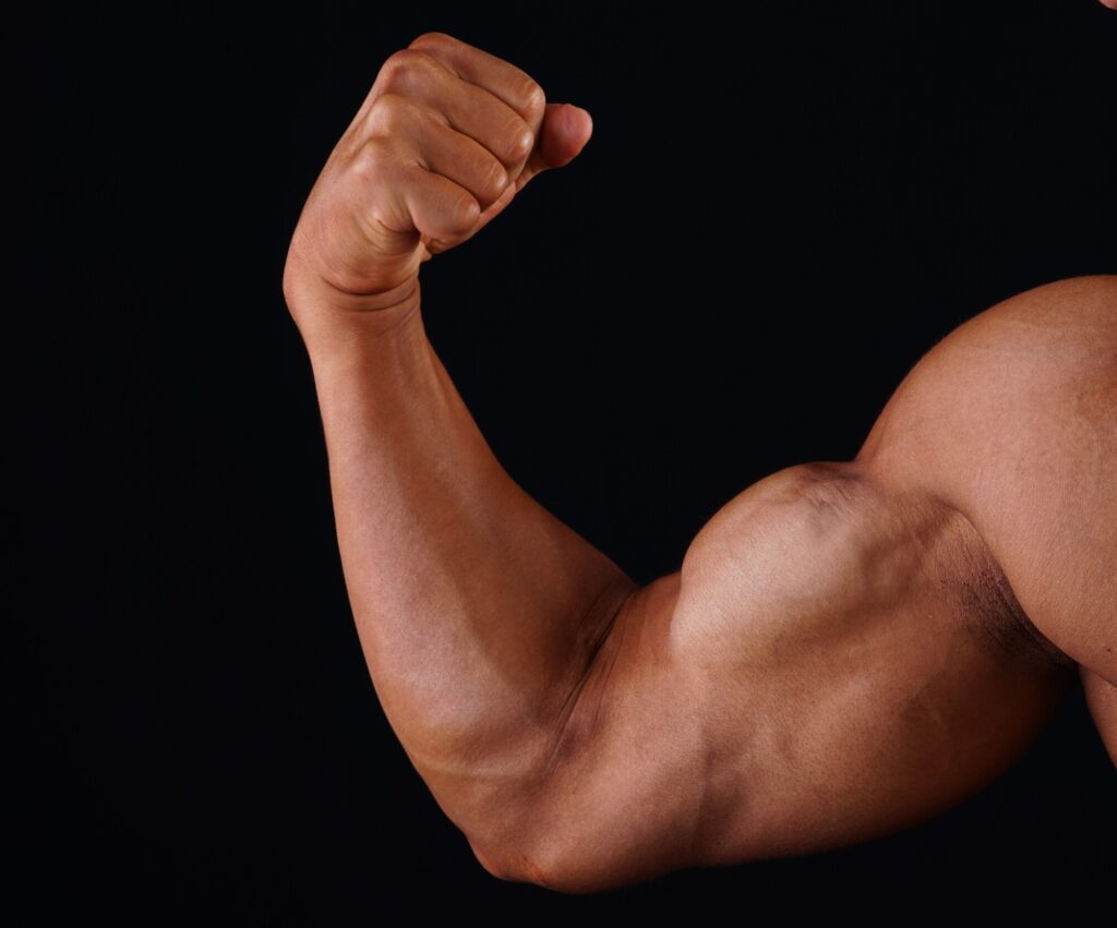 【プロが教える】腕の筋肉を強化するための効果的なトレーニングとは