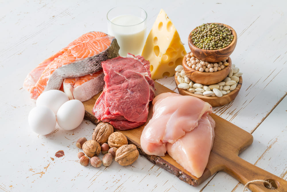 タンパク質が多い食べ物ランキングを紹介　良質なタンパク質は健康の基本