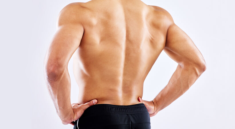 背中にある主な筋肉