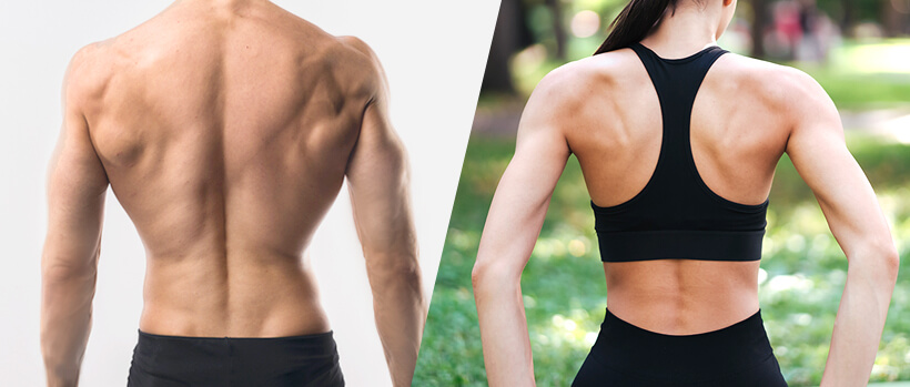 見た目が良くなる