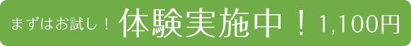 まずはお試し！体験実施中