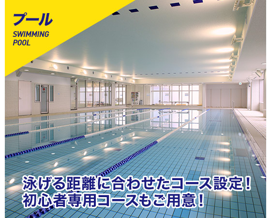 プール