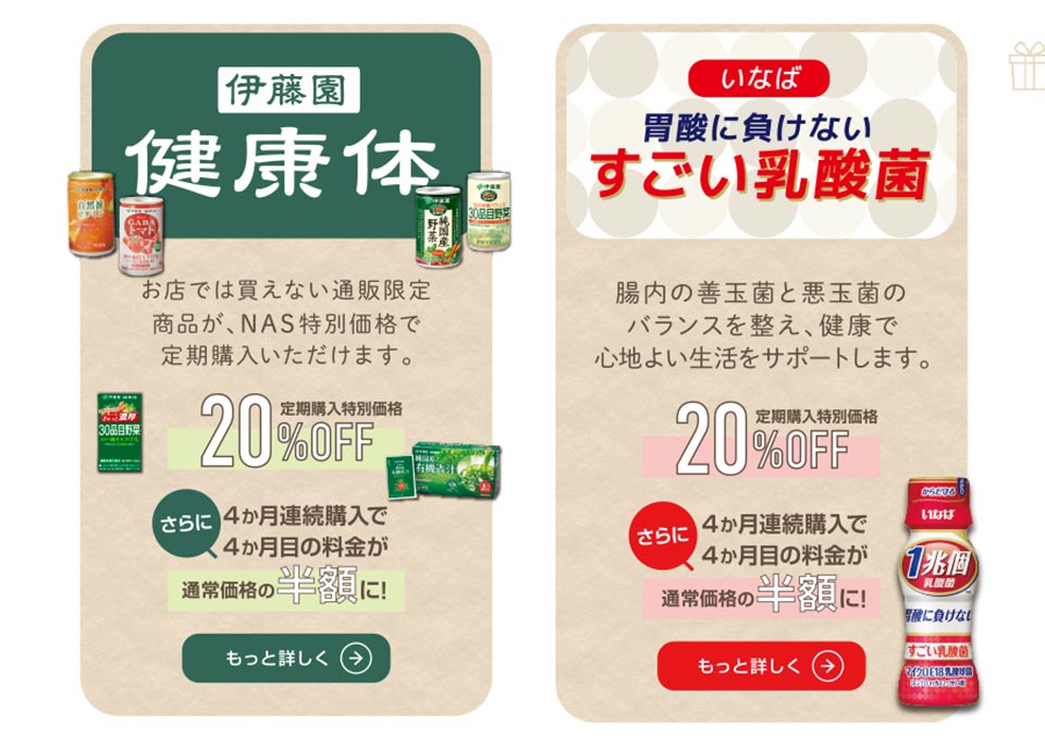 スポーツクラブNAS スタンツァイテン 施設利用券10枚セット 2025