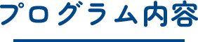 プログラム内容