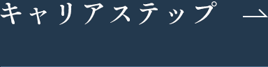 キャリアステップ